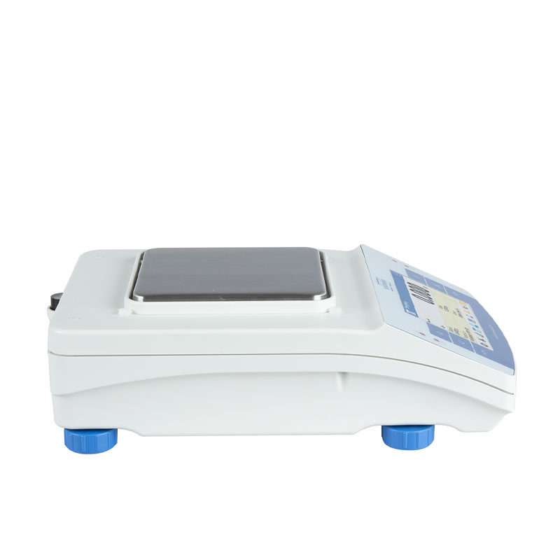 PS 1000.X2-02 Radwag PS 1000.X2-SIDE Precision Balance